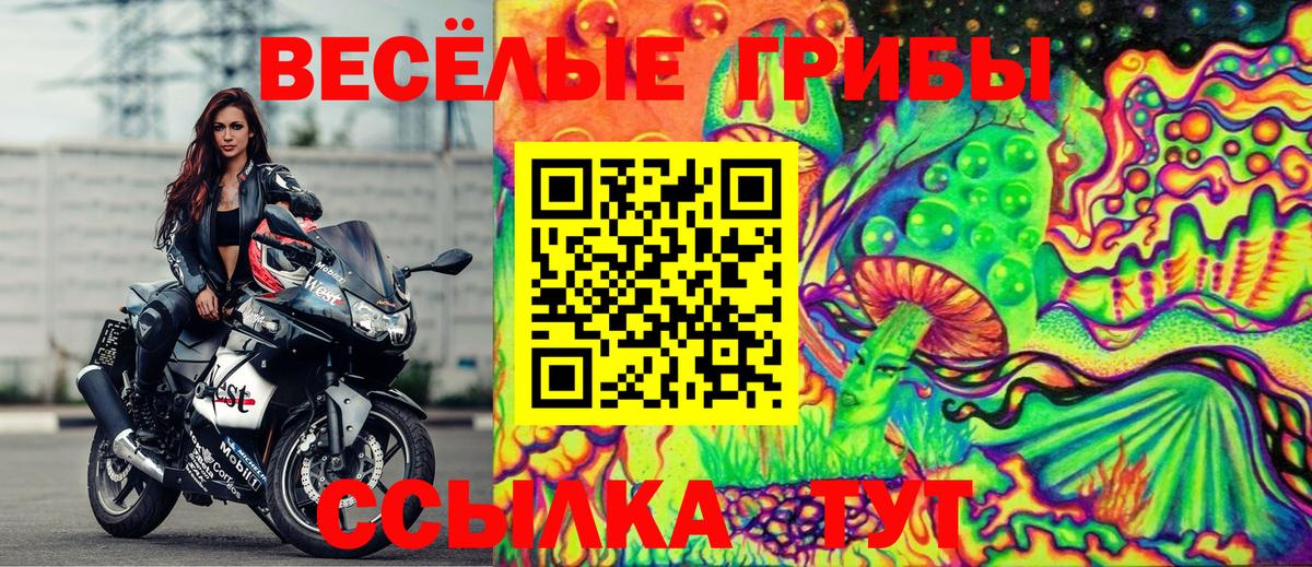 Торжок  Галлюциногенные грибы прущие грибы  Вход с VPN 