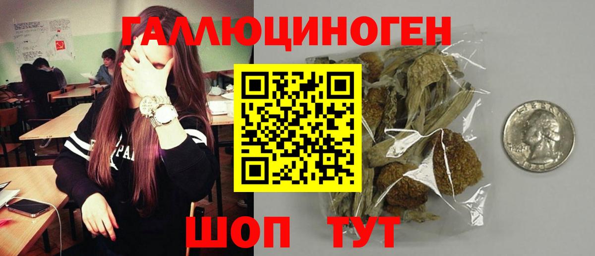 Галлюциногенные грибы прущие грибы Торжок
